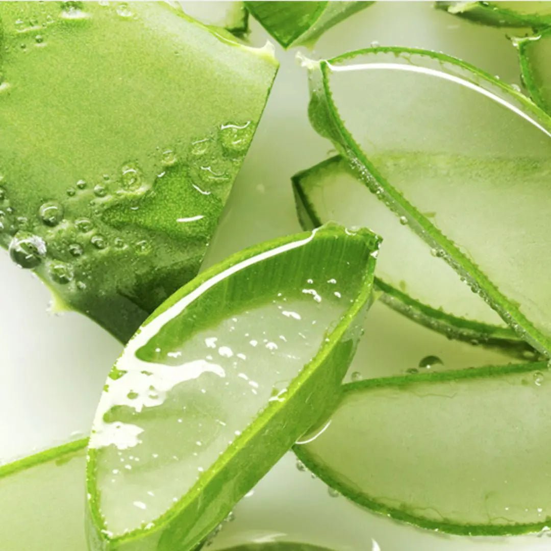 Foodaholic Nature Aloe Vera Emulsion