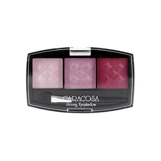 Caracosa Shining Eyeshadow #301