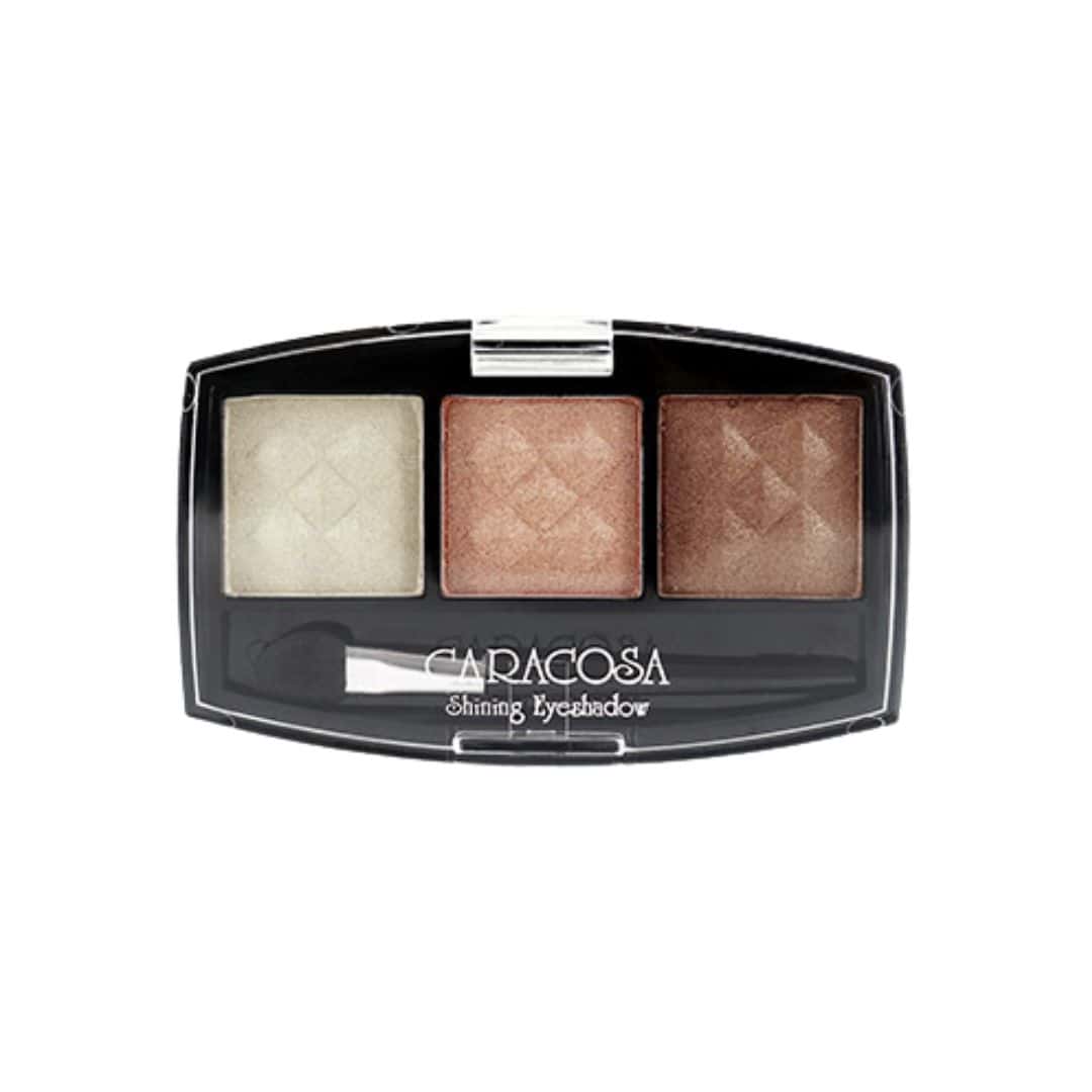 Caracosa Shining Eyeshadow #304