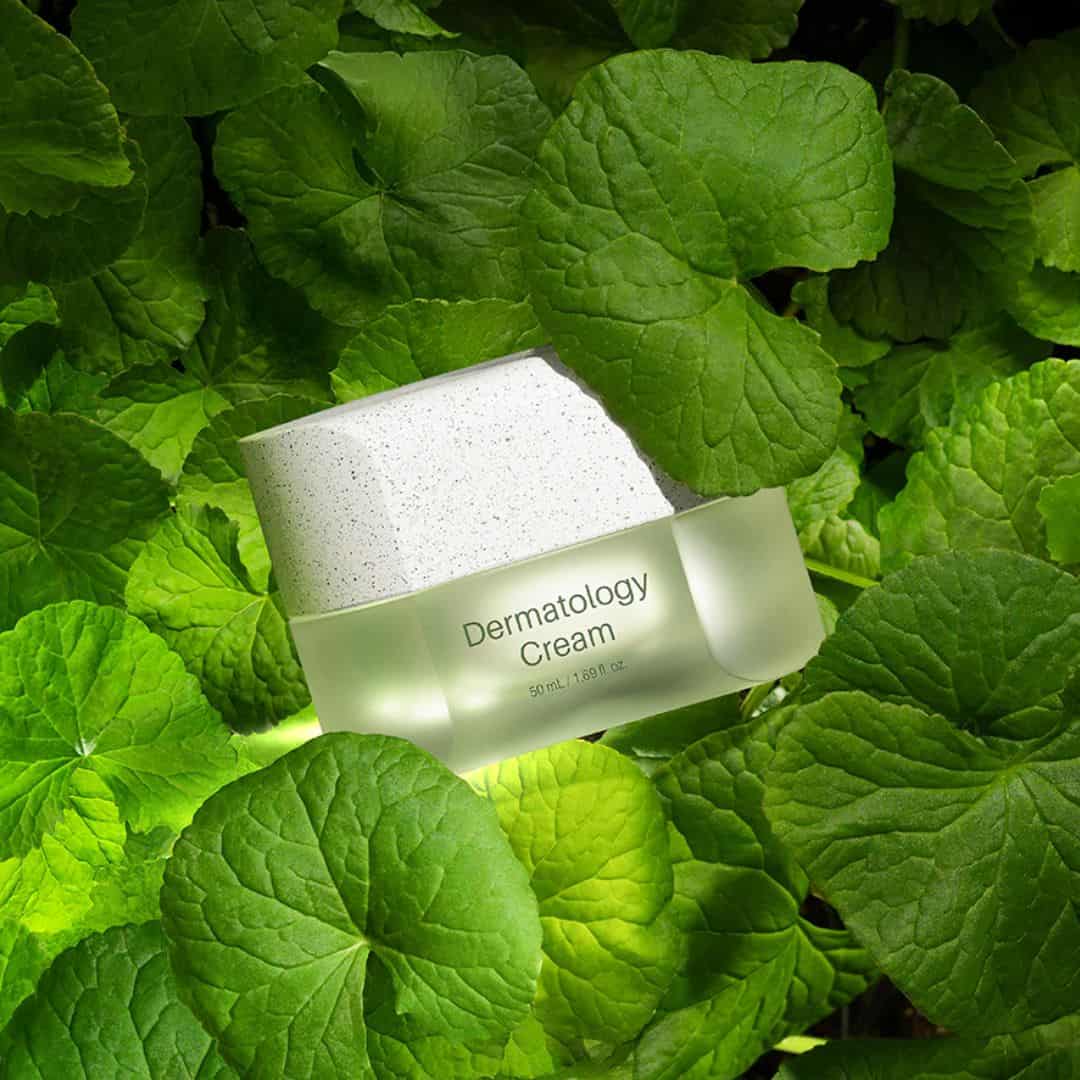 Incellderm Dermatology Cream