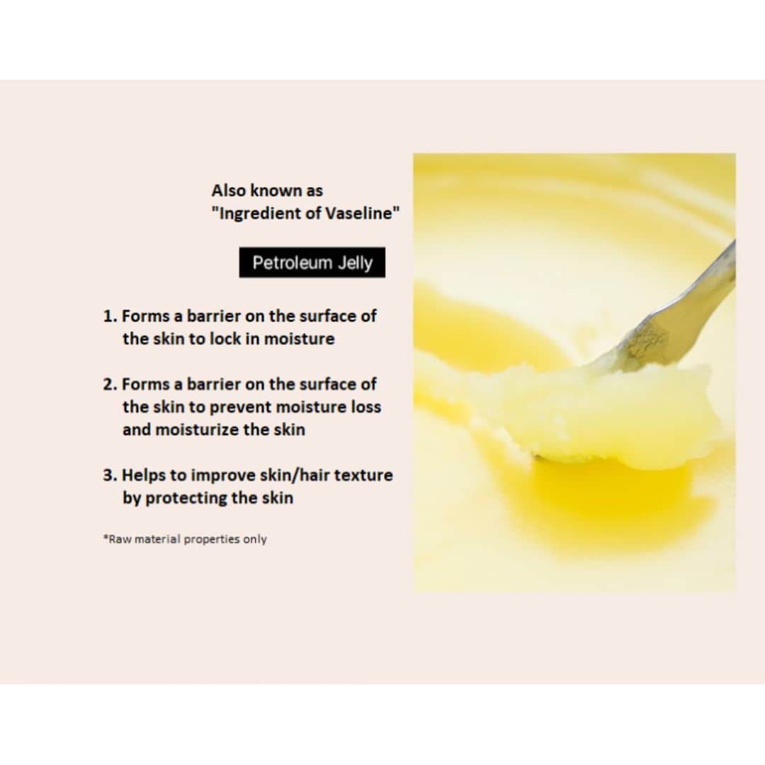 Foodaholic Nature Essence Lip Balm Vitamin